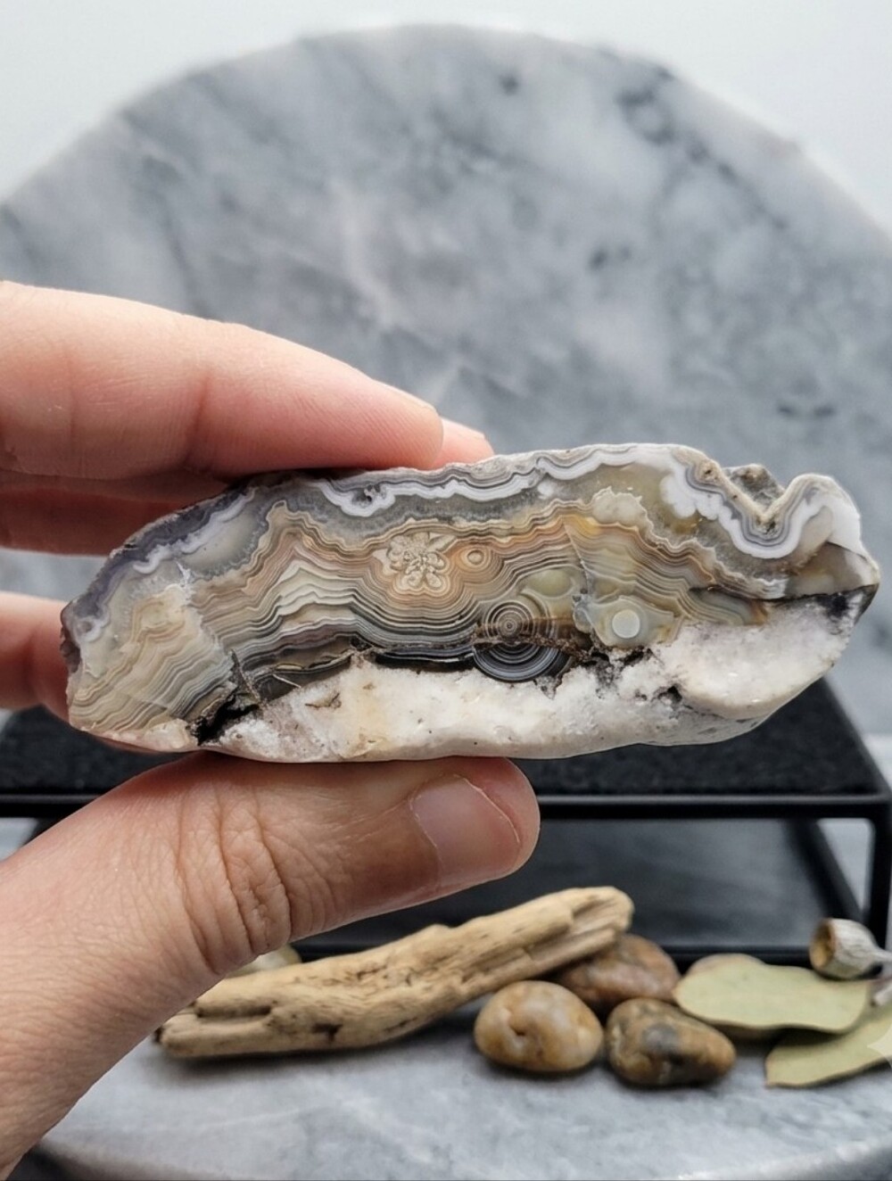 Crazy Lace Agate Slice - Crystal